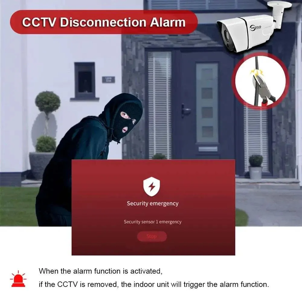 CCTV alarm system