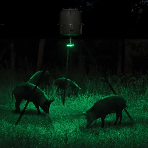 MOULTRIE Feeder Hog Light