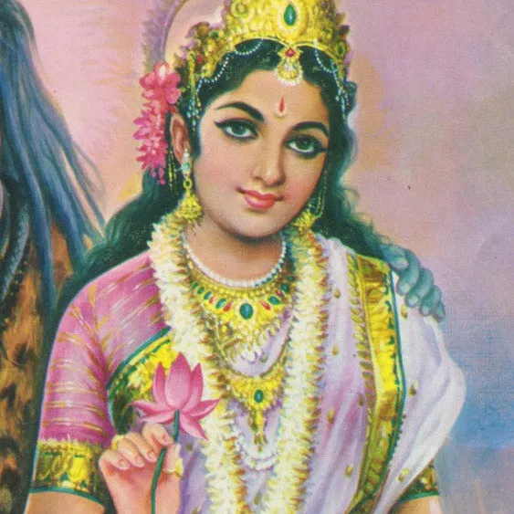 PARVATI- ROUGE