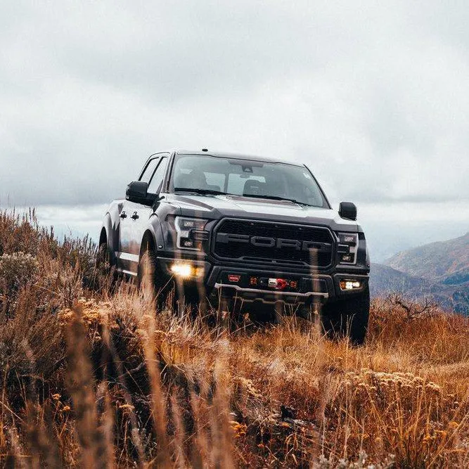 Perfect-Fit Stubby Antenna | Ford F-150 & Raptor (2009-14)