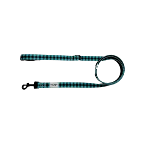 WALKIES Leash - Evergreen